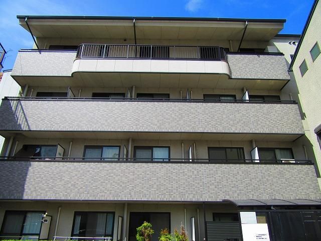 �O�����x�[���˖{ �O�ώʐ^