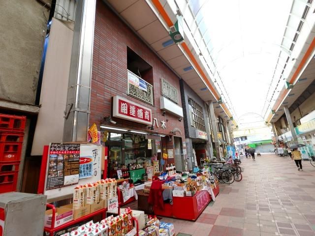 �r�N�g���[���˖{ �O�ώʐ^