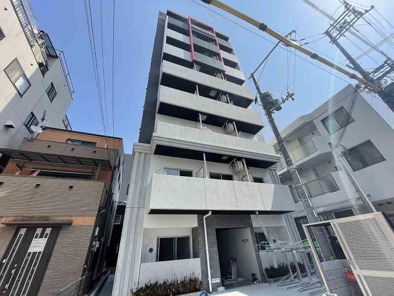 ONLYONE�˖{ �O�ώʐ^